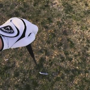 Meet your Posher, Evan